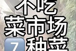 2024级蔡崇信篮球奖学金获奖名单揭晓 6人入选&今秋启程赴美深造